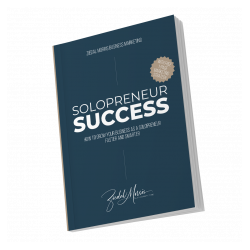 solopreneur success ebook